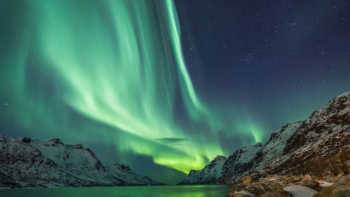 Northern Lights above waters edge; Shutterstock ID 262234709; purchase_order: -; Order: -; client: -; job: -