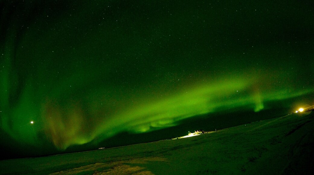 #NorthernLights #Iceland #LifeatExpedia #Green