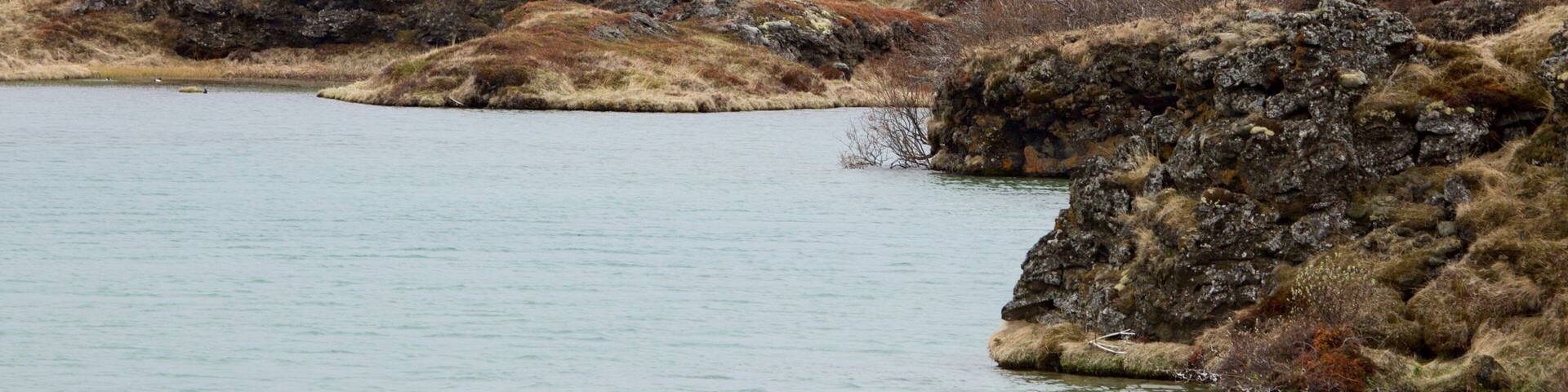 Reykjahlíð showing tranquil scenes and a lake or waterhole