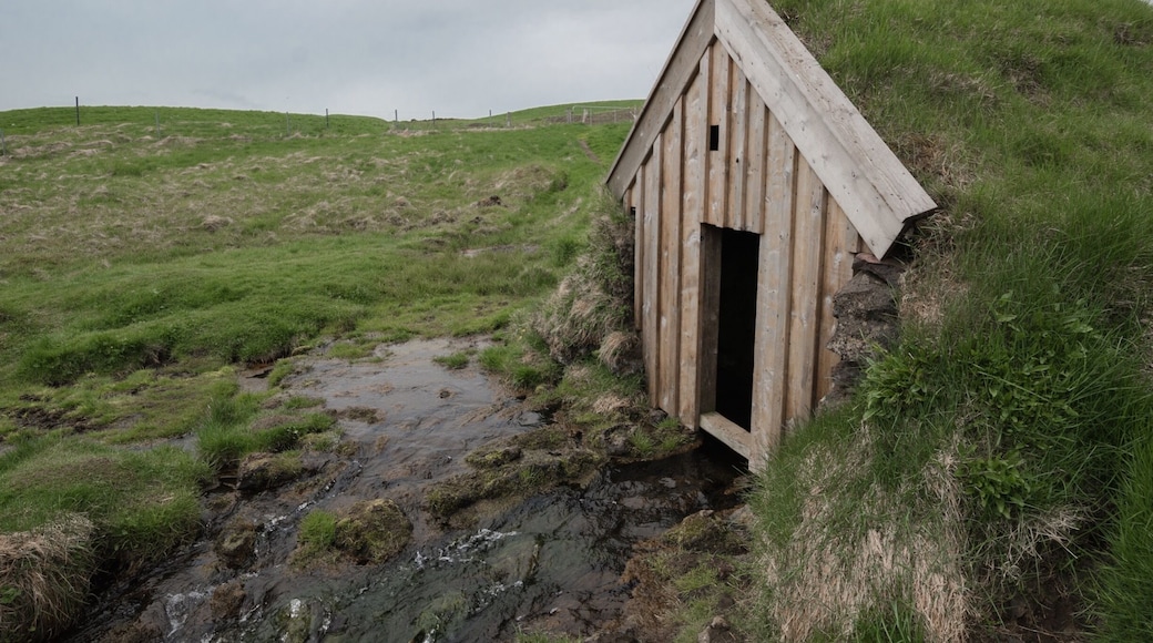 #spring #iceland #vikings #roadtrip #green #paradise