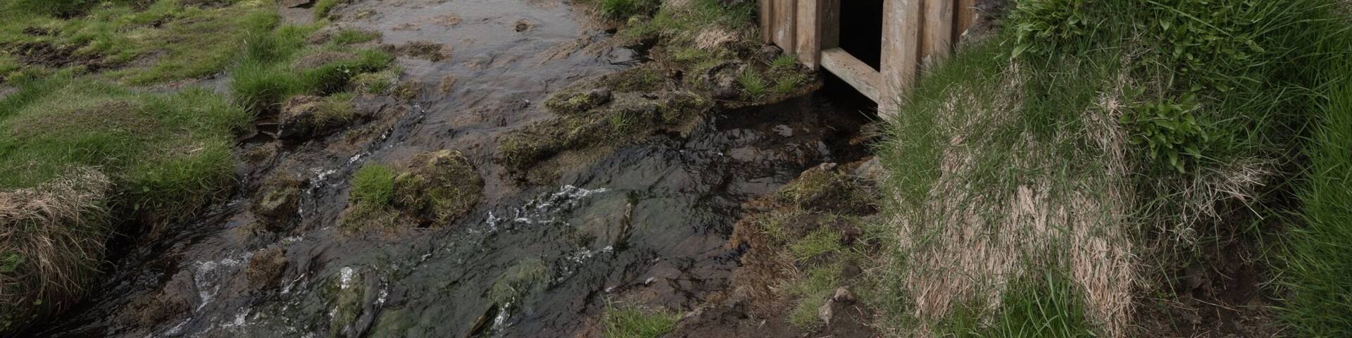 #spring #iceland #vikings #roadtrip #green #paradise