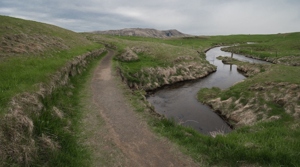 This place is real #spring #iceland #vikings #roadtrip #green #paradise