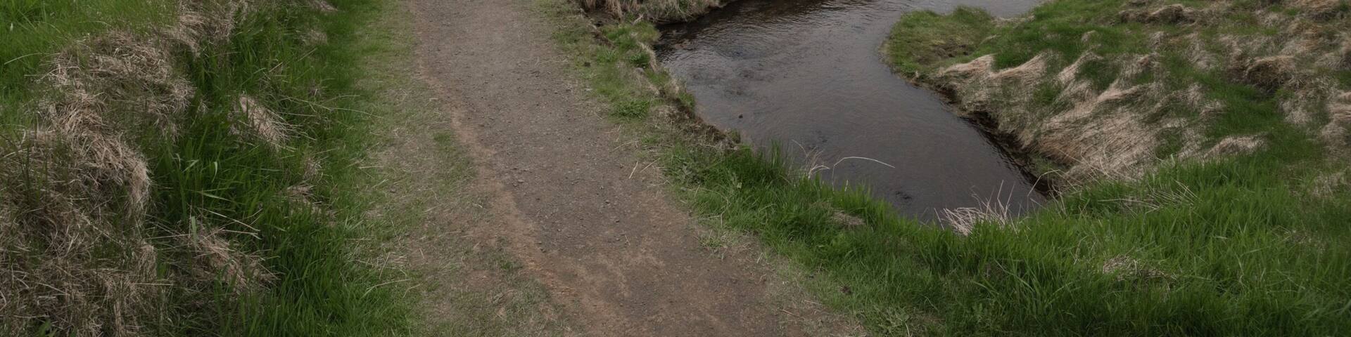 This place is real #spring #iceland #vikings #roadtrip #green #paradise