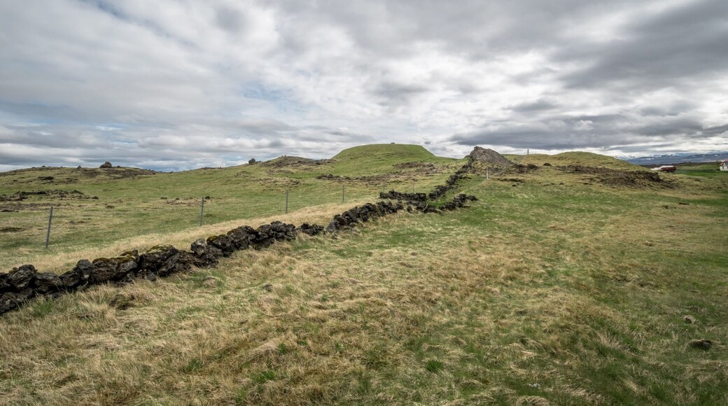 #spring #iceland #vikings #roadtrip #green #paradise
