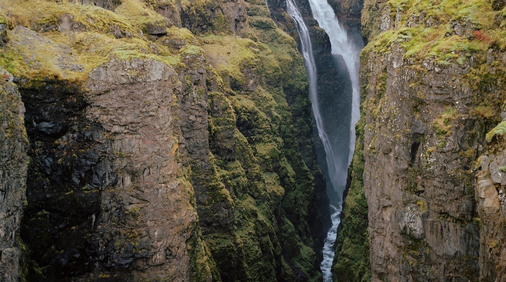 If you take the long way from Reykjavík to Borgarnes, you can pull off and make a couple hour hike up to Iceland's second tallest waterfall, Glymur. #waterfall #iceland #hiking