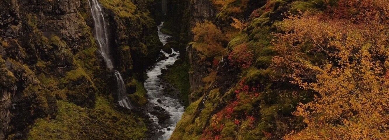 Say yes to adventure or at least sign up and pay for it and throw caution to the wind. Glymur falls hike in Iceland by #extremeiceland. Tip: when they tell you to bring water shoes, listen to them.😁 #hiking