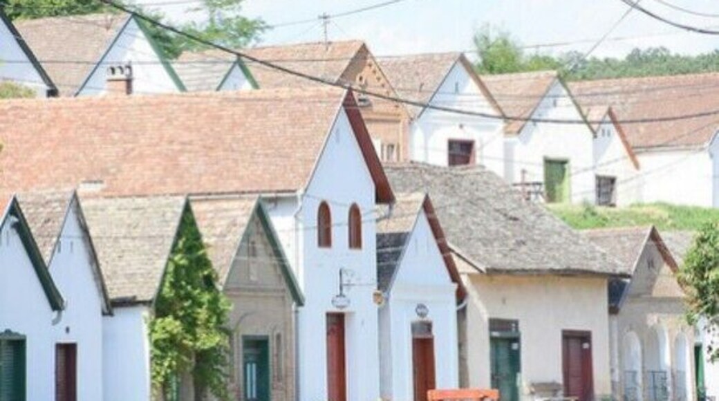 Villánykövesd is a small village near Pécs, famous for its two rows of wine cellers. (The red wine of the area Villány is concidered one of the best in Hungary.)