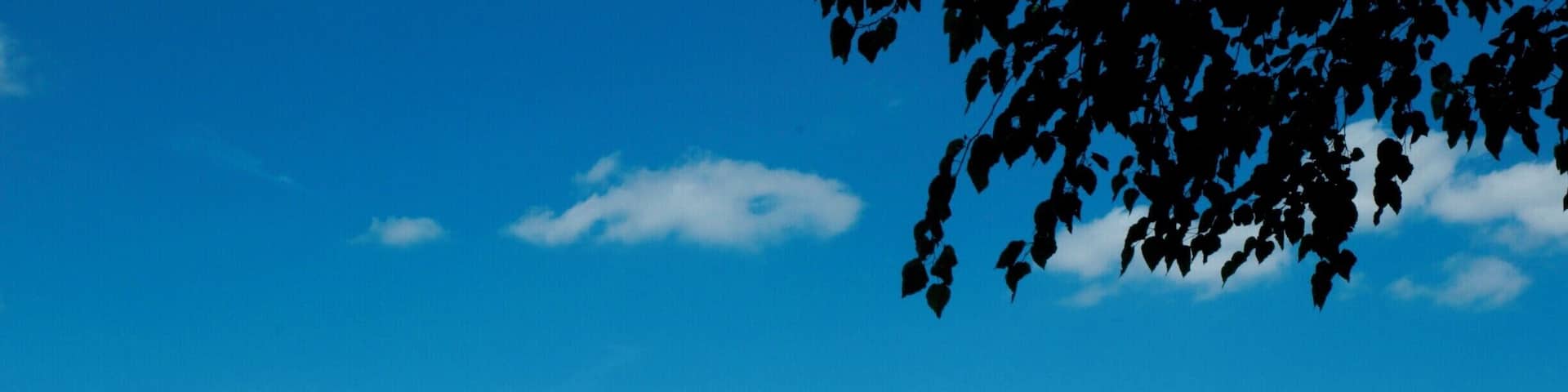 the outer walls of the castle