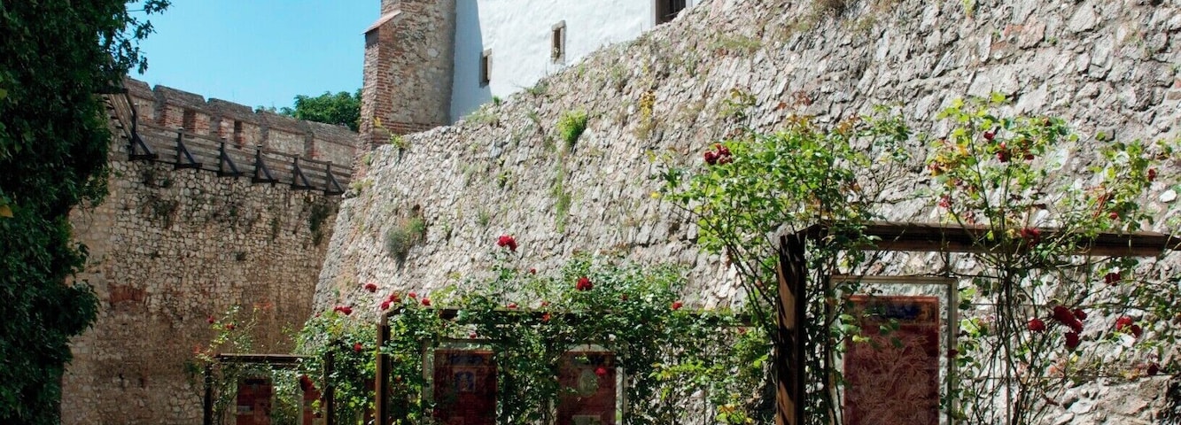 inside the medieval castle