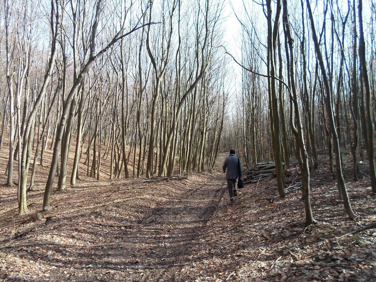 Trying to leave the Mecsek following some tyre tracks

Read more here!
www.endoftherainbow.net/blog/2014/2/22/hiking-in-the-mecsek-mountains