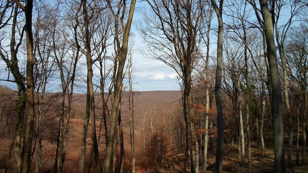 Wonderful panorama of the Mecsek mountains. Nothing and nobody on sight. It might seem good, but it is really not if you accidentally lose your path as we did...
Read more here!
www.endoftherainbow.net/blog/2014/2/22/hiking-in-the-mecsek-mountains