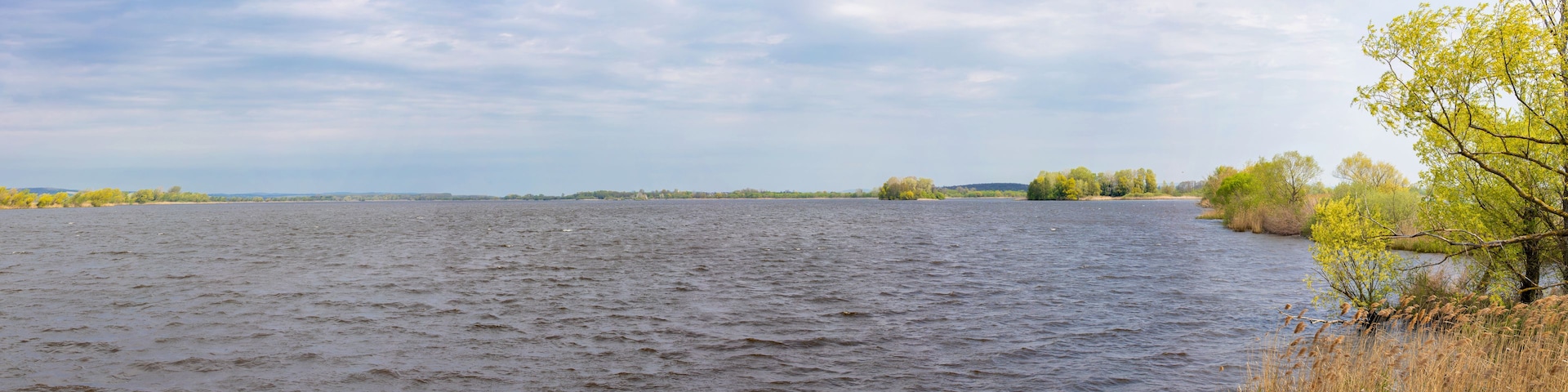 Ein Fluss mit Wogen, umgeben von Bäumen und bewölktem Himmel.