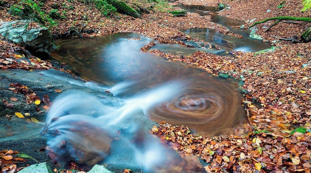 #BvSWater #Mecsek #NationalParks
Another favourite waterfall from the Óbánya valley.