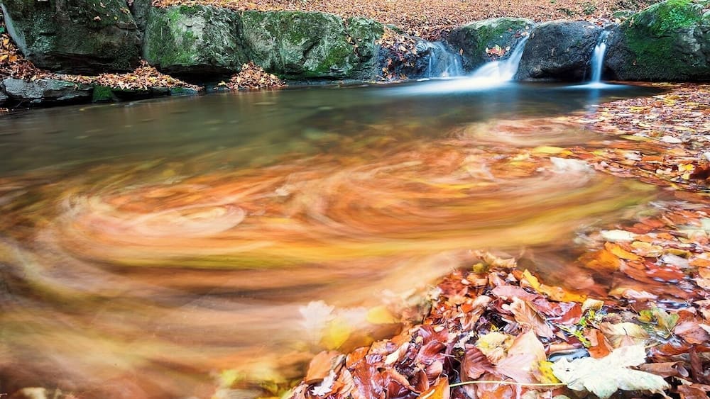 Ein Bachlauf mit einem Wasserfall, umgeben von Herbstlaub.