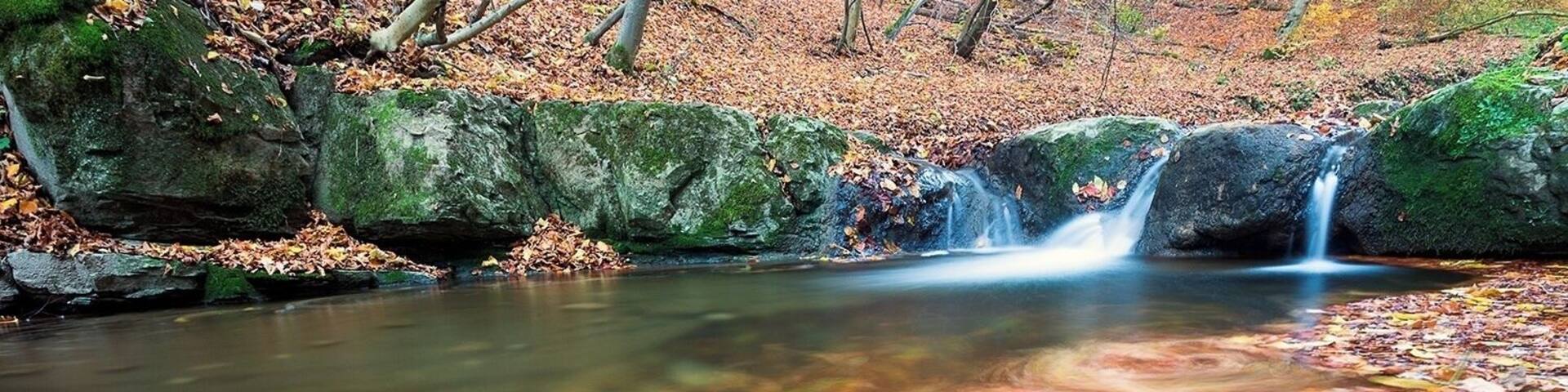 #BvSWater #Mecsek #NationalParks
A hidden gem in the Mecsek hills, a small stream with numerous waterfalls which can be very photogenic in the autumn.