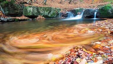 Een beekje met een waterval, omgeven door herfstbladeren.