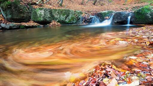#BvSWater #Mecsek #NationalParks
A hidden gem in the Mecsek hills, a small stream with numerous waterfalls which can be very photogenic in the autumn.