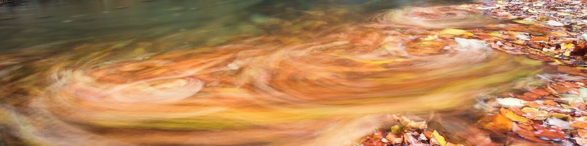 #BvSWater #Mecsek #NationalParks
A hidden gem in the Mecsek hills, a small stream with numerous waterfalls which can be very photogenic in the autumn.