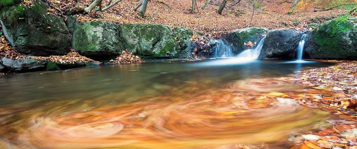 A stream with a waterfall, surrounded by autumn leaves.