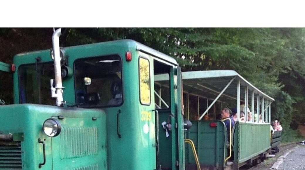 Borzsonyi erdei kisvasut vegallomas :-)