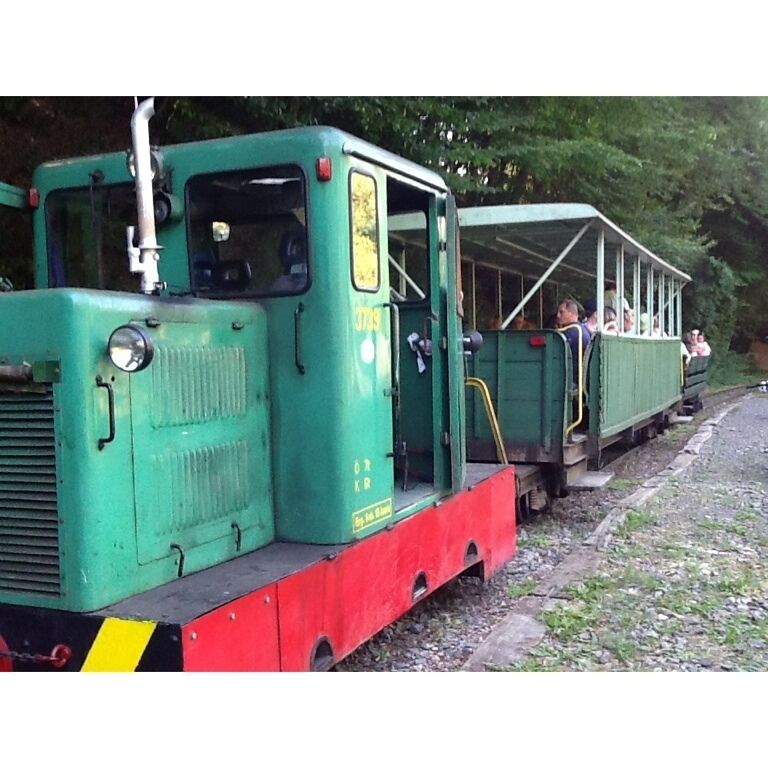 A green and red train with passengers, moving along a track surrounded by trees.