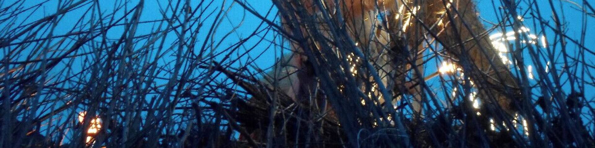 Busó lighting the bonfire at the end of Busójárás
#TroveOn
Read more here!
www.endoftherainbow.net/blog/2014/3/7/the-demons-parade-mohacs-busojaras