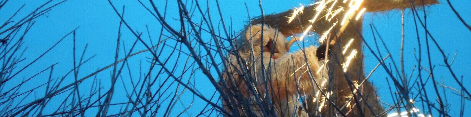 Busó lighting the bonfire at the end of Busójárás
#TroveOn
Read more here!
www.endoftherainbow.net/blog/2014/3/7/the-demons-parade-mohacs-busojaras