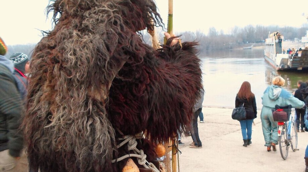 The central event of the Busójárás is the winter's funeral, which is performed by setting afloat a coffin in the middle of the Danube
Read more here!
www.endoftherainbow.net/blog/2014/3/7/the-demons-parade-mohacs-busojaras