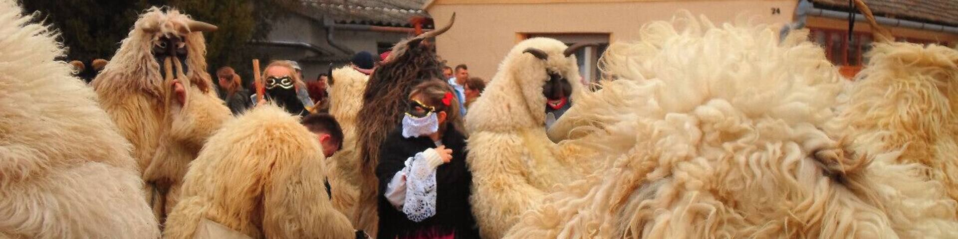 Busójárás is the Hungarian name for the carnival celebrations of the Croatian minority in the small village of Mohács. The main event takes place on the last Sunday of Carnival (not really on Fat Tuesday) and it's the arrival of the deamons (Busó) in town that scares away winter and awakes spring.
Read more here!
www.endoftherainbow.net/blog/2014/3/7/the-demons-parade-mohacs-busojaras