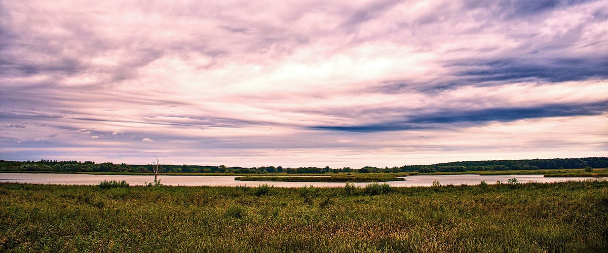 A landscape with a large body of water, a forested area in the distance, and a field of tall grass in the foreground.