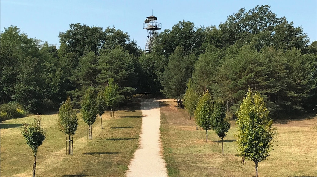Area of the Pan-European Picnic on August, 19th in 1989, the beginning of the fall of the Iron Curtain