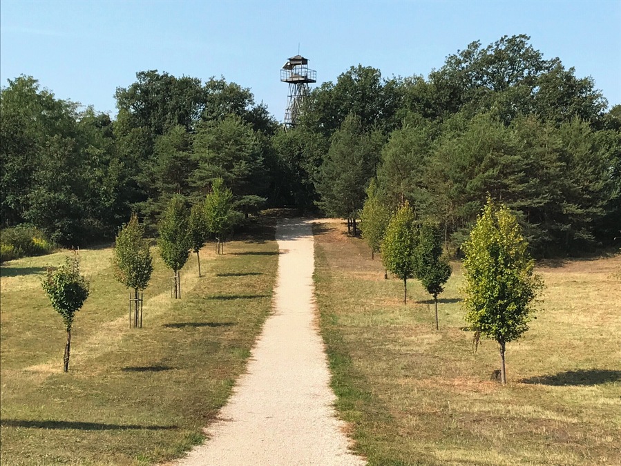 Area of the Pan-European Picnic on August, 19th in 1989, the beginning of the fall of the Iron Curtain