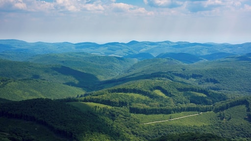 #Mountains #BvSMountains
Bükk Mountains, a southward-projecting spur of the Carpathian Mountains, in northeastern Hungary. It comprises a forested highland area extending some 50 km from the Tarna River on the west to the Sajó River in the east and 32 km from north to south. The Bükk, with a continuous tree cover for the most part, is one of the most rugged areas in Hungary. With 949 meters above sea level the Tar-kő is the 8th highest peak in Bükk Mountains.
