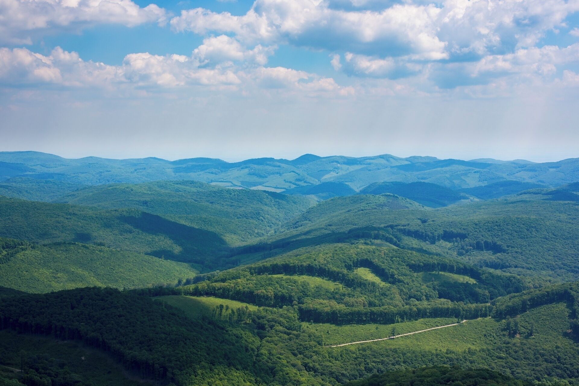 A mountainous landscape with dense forests and a winding road.