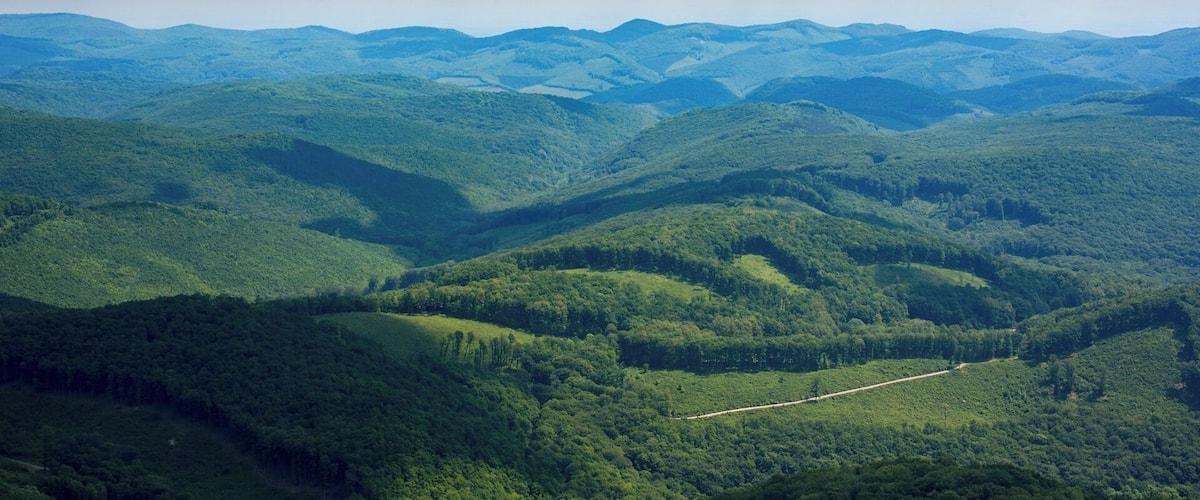 A mountainous landscape with dense forests and a winding road.