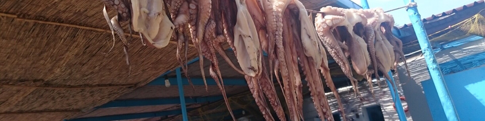 Dried octopus hanging from a structure.