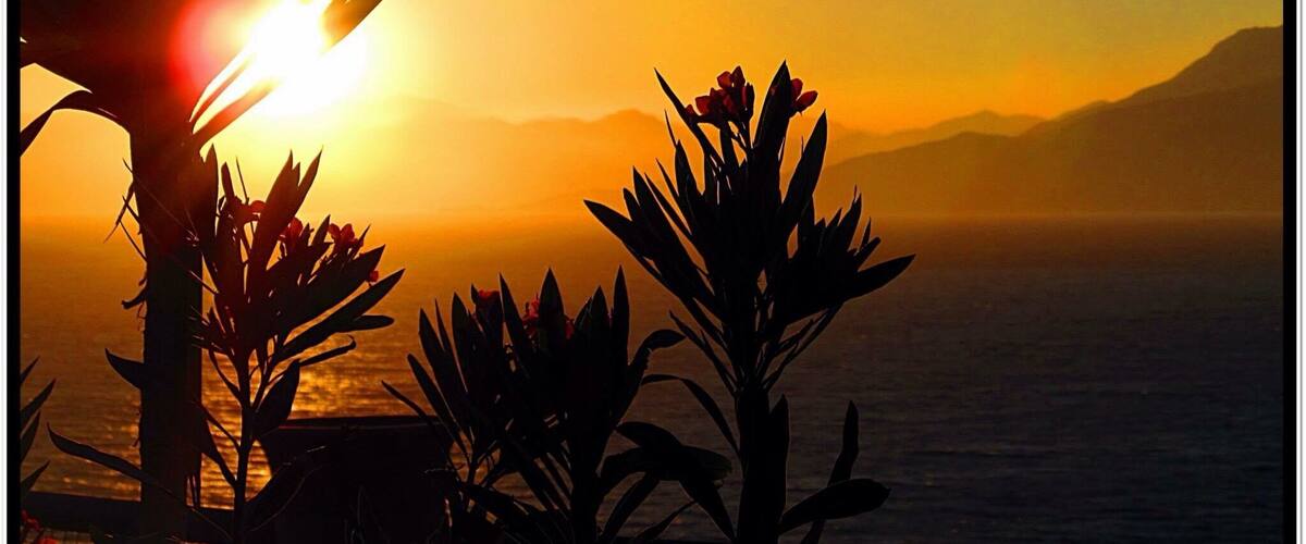 A sunset over the ocean with silhouettes of palm trees and mountains in the background.