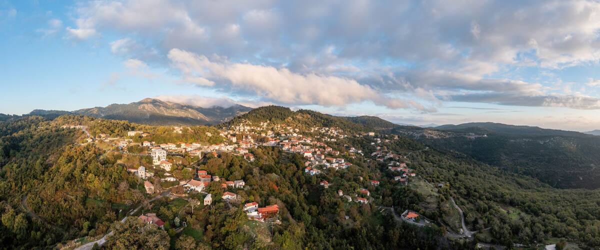 A mountainous village with houses nestled among the trees.