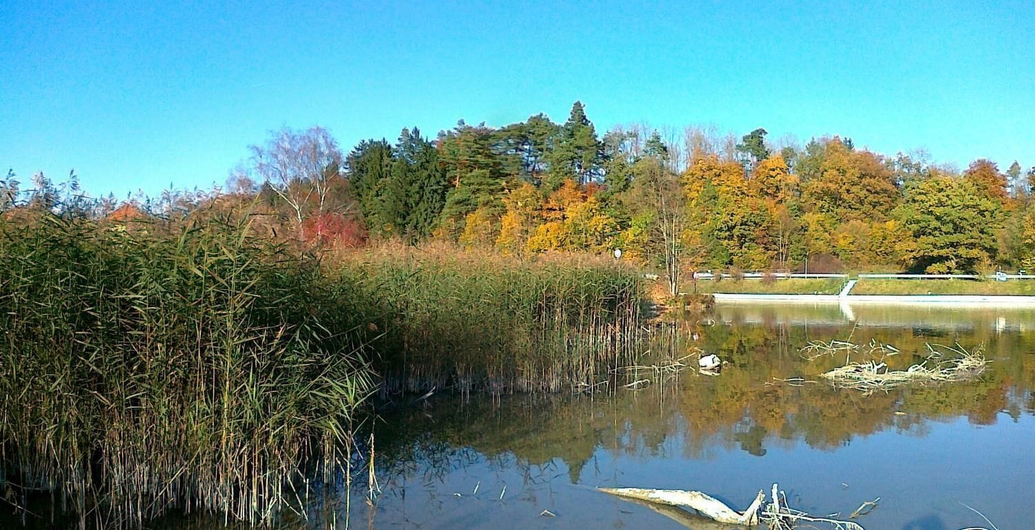 Herbstlicher Floss-Kanal am 25 Oktober 12