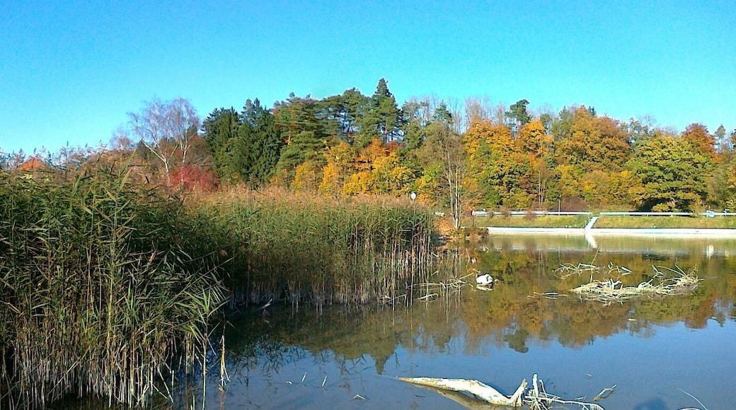 Herbstlicher Floss-Kanal am 25 Oktober 12