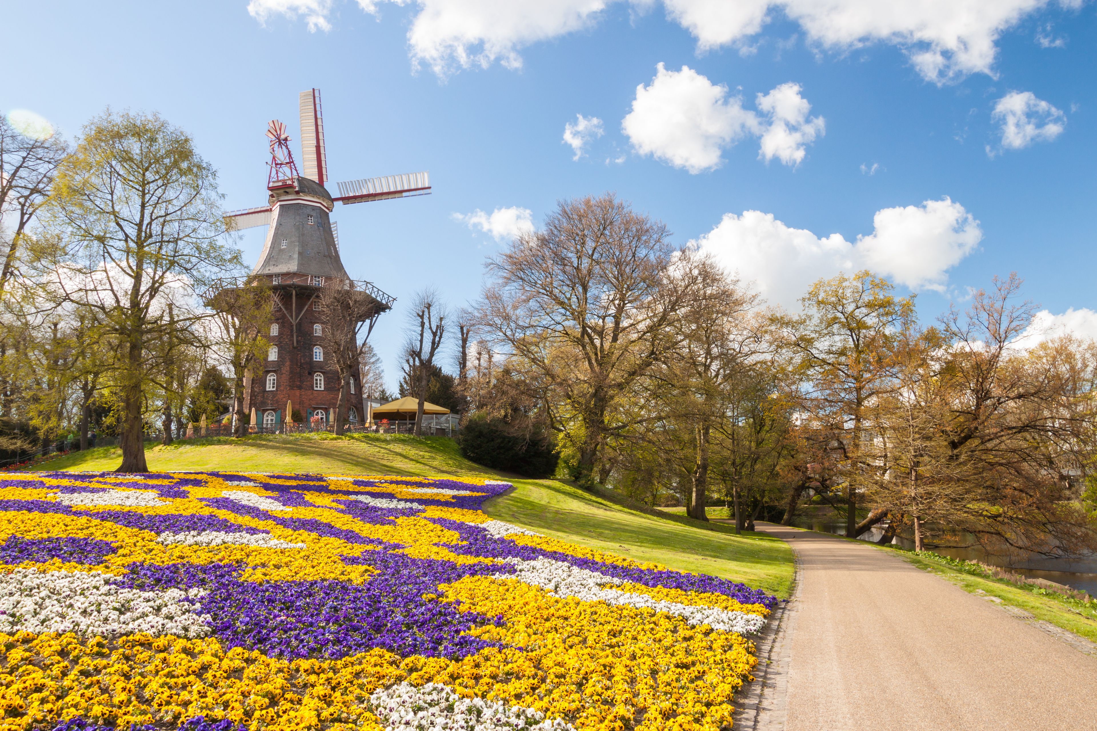 Een windmolen, een bloemenveld en een pad.
