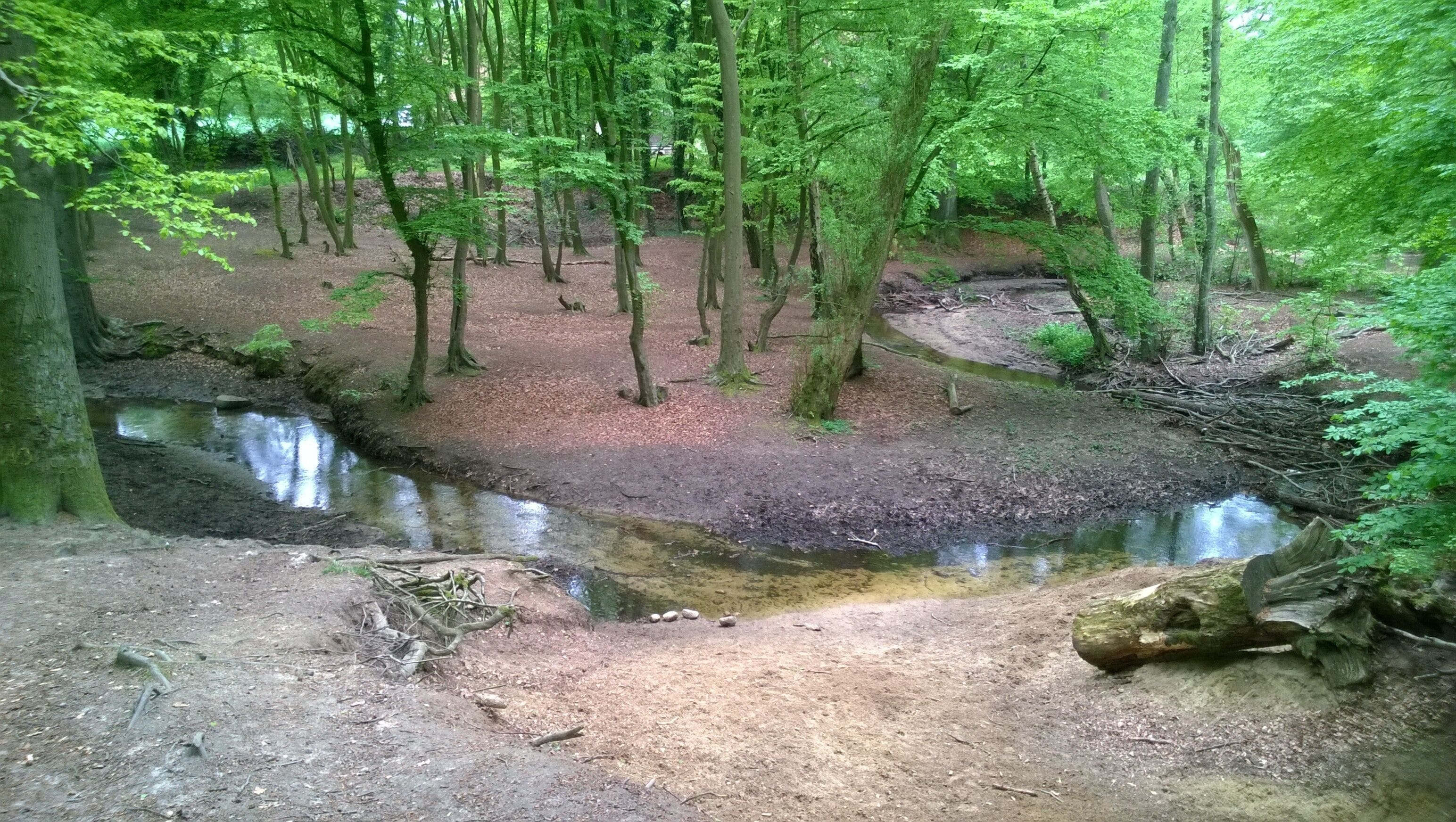 Die Beckedorfer Beeke in Schwanewede-Beckedorf