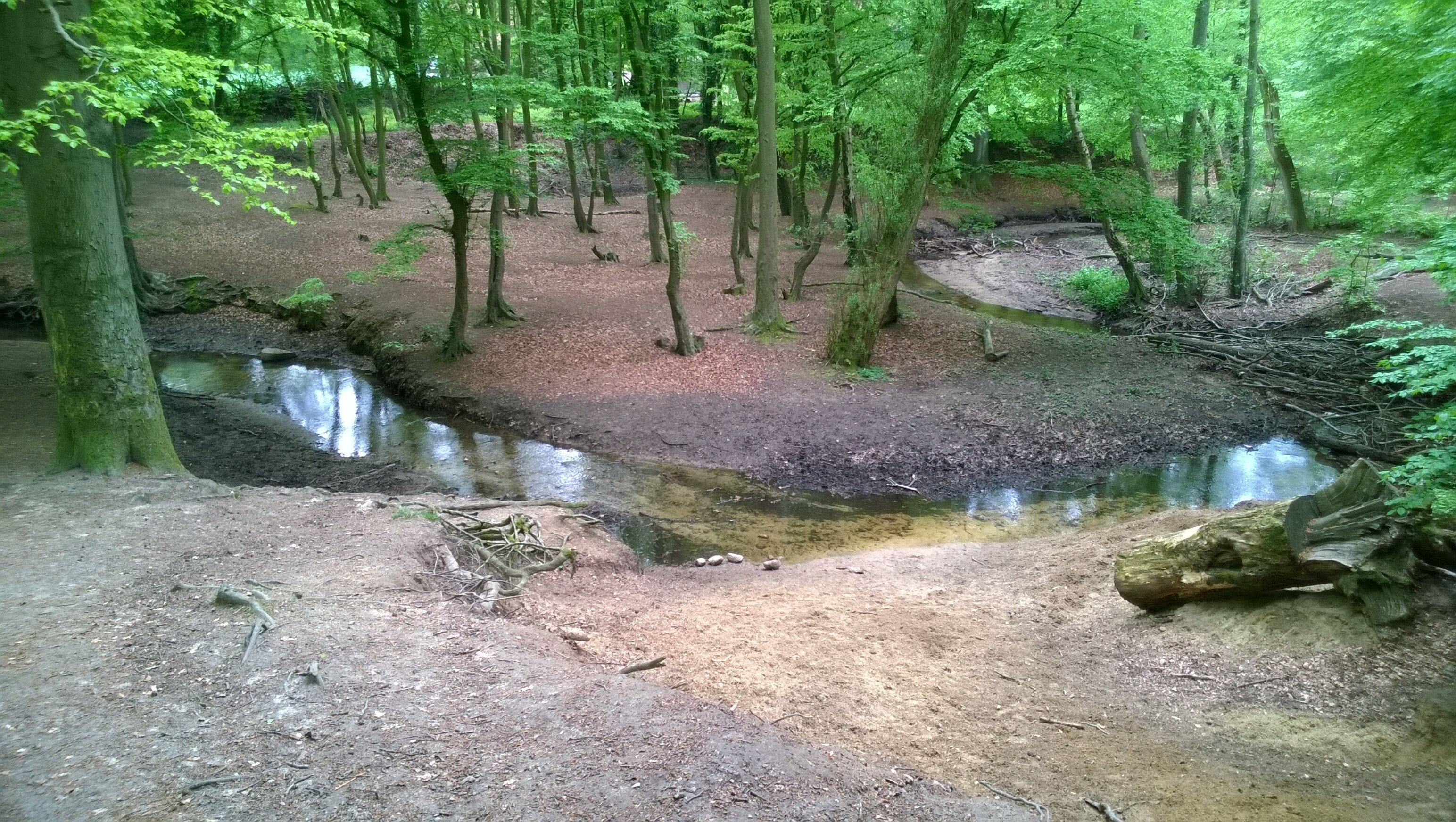 Die Beckedorfer Beeke in Schwanewede-Beckedorf