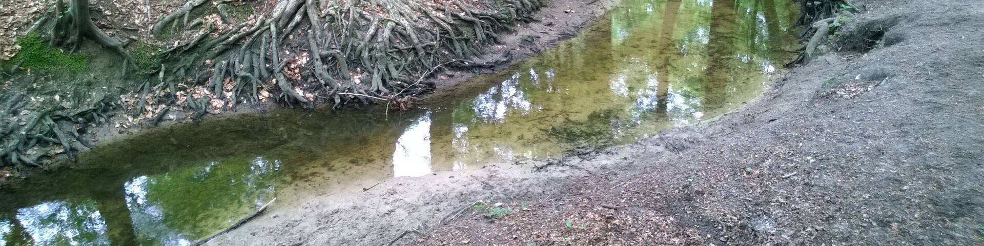 Die Beckedorfer Beeke in Schwanewede-Beckedorf