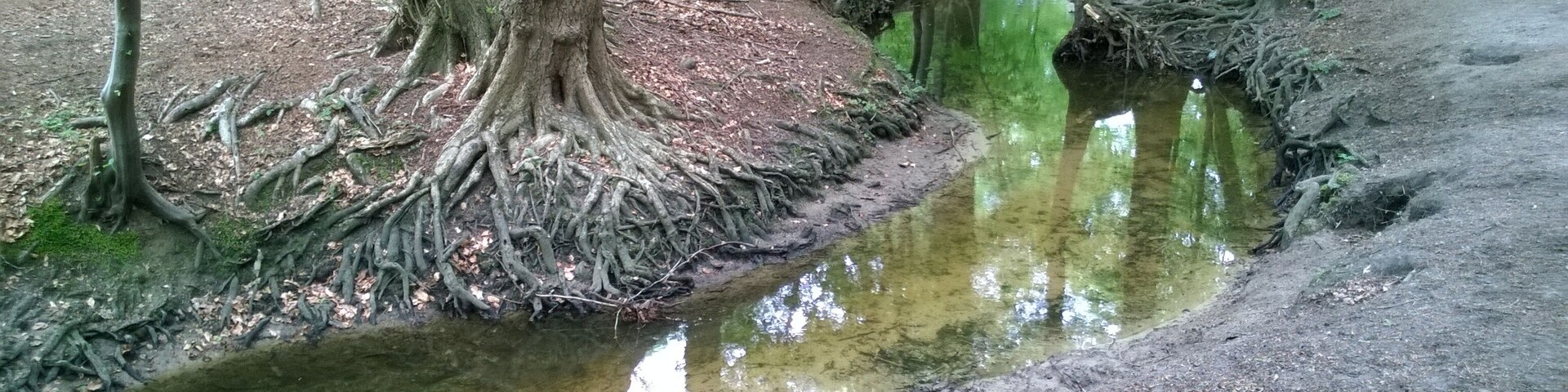Die Beckedorfer Beeke in Schwanewede-Beckedorf