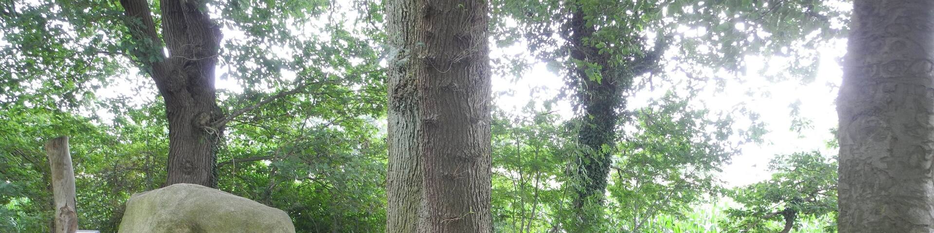Megalithic grave "Meyenburg" (district Osterholz, Lower Saxony, Germany).
