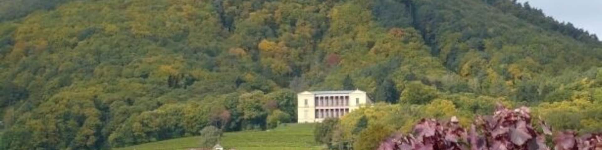 Ludwigshöhe und Rietburg