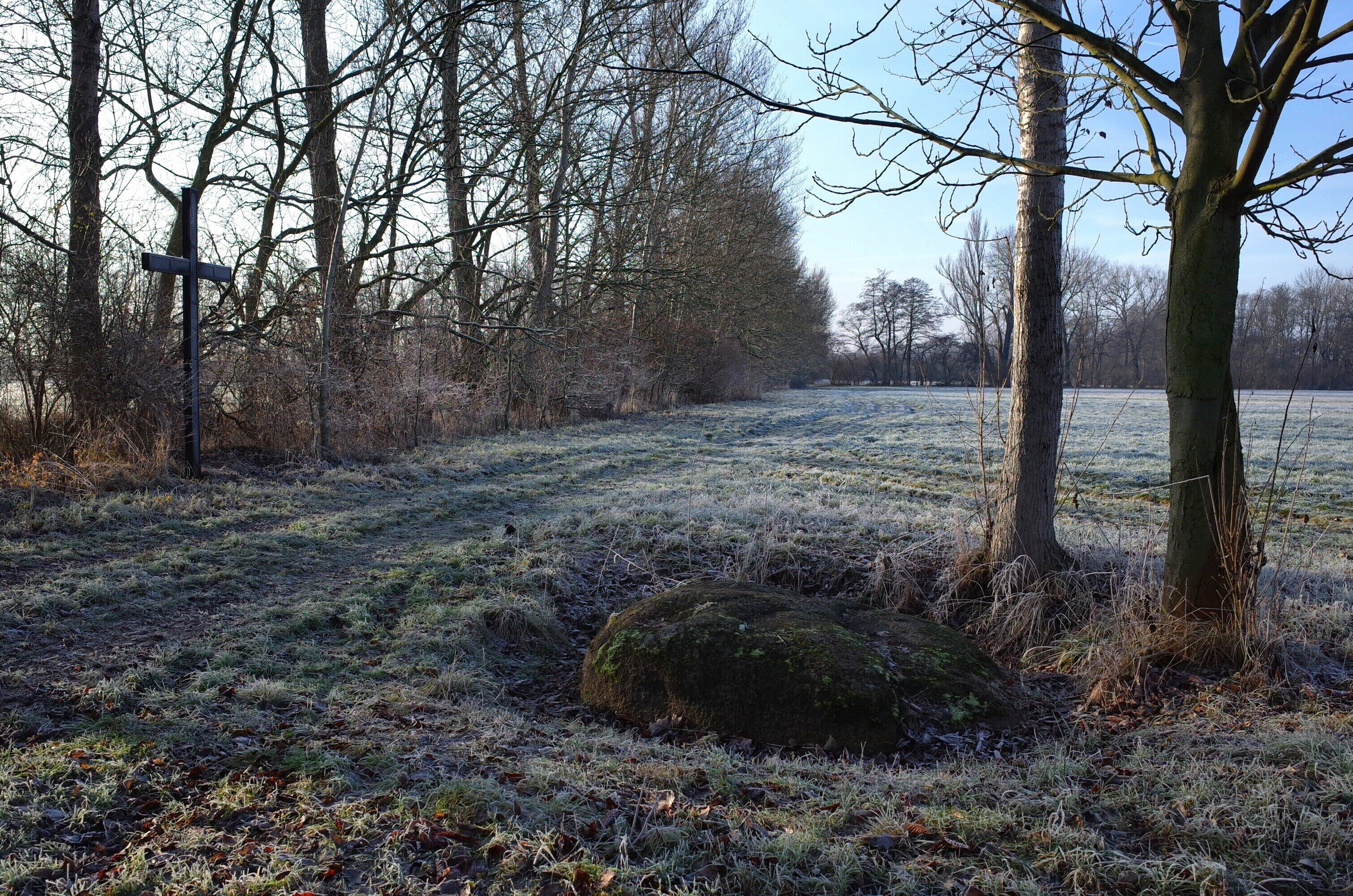 Zörbig, Ortsteil Löberitz. Findling Flinzstein (Teufelsstein) und Bonifatiuskreuz in der Fuhneaue. (Informationen zum Stein auf der Homepage der Stadt Zörbig [1])