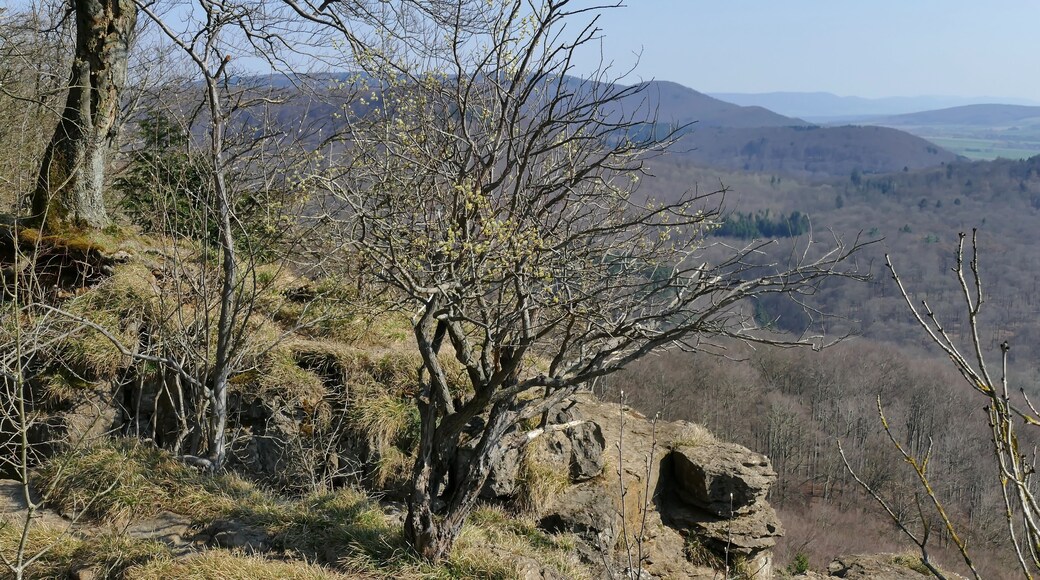 Naturschutzgebiet Hohenstein (NSG HA 002): Felsklippen des Hohensteins