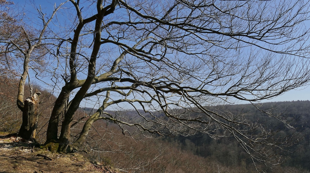 Naturschutzgebiet Hohenstein (NSG HA 002): Aussichtspunkt an der Südwehe mit Blick über das Tal des Blutbachs